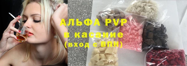 индика Кулебаки