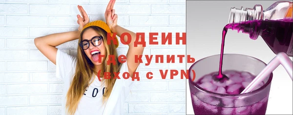 индика Кулебаки