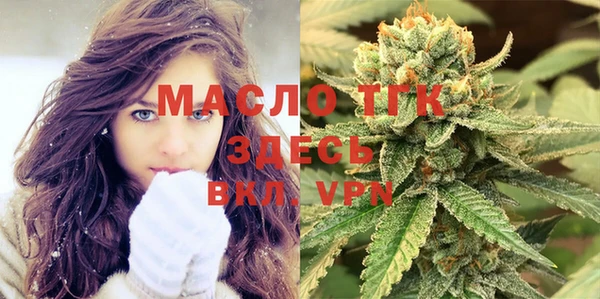 индика Кулебаки