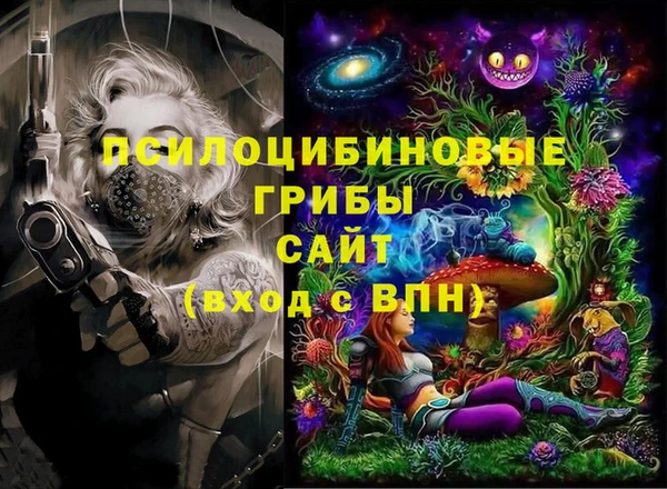 индика Кулебаки