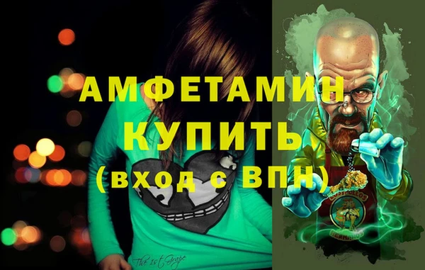 индика Кулебаки