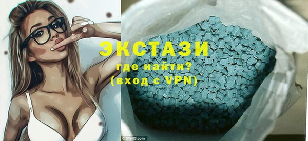 индика Кулебаки