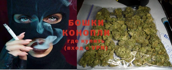 индика Кулебаки