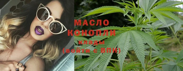 индика Кулебаки
