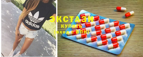 индика Кулебаки