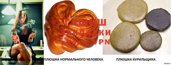 индика Кулебаки