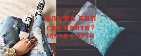 индика Кулебаки
