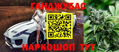 гидра Тула