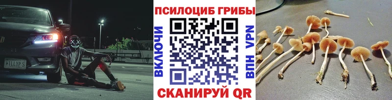 ОМГ ОМГ ссылка  Тутаев  Псилоцибиновые грибы GOLDEN TEACHER 