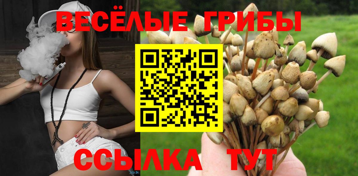 Псилоцибиновые грибы MAGIC MUSHROOMS  Вход с VPN  Тутаев 