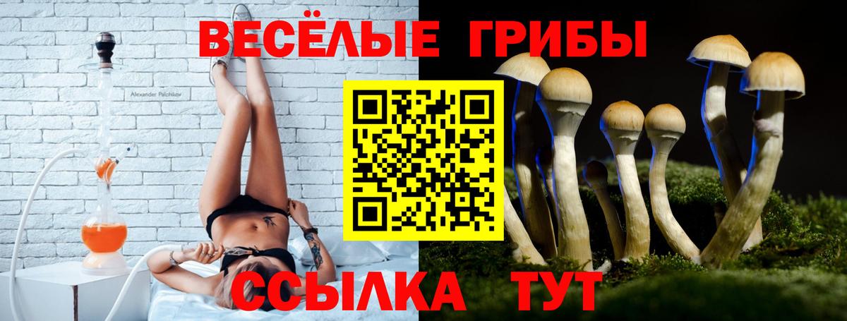 Галлюциногенные грибы Psilocybine cubensis  Тутаев 