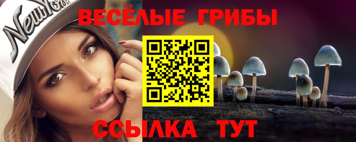 Псилоцибиновые грибы Magic Shrooms Тутаев