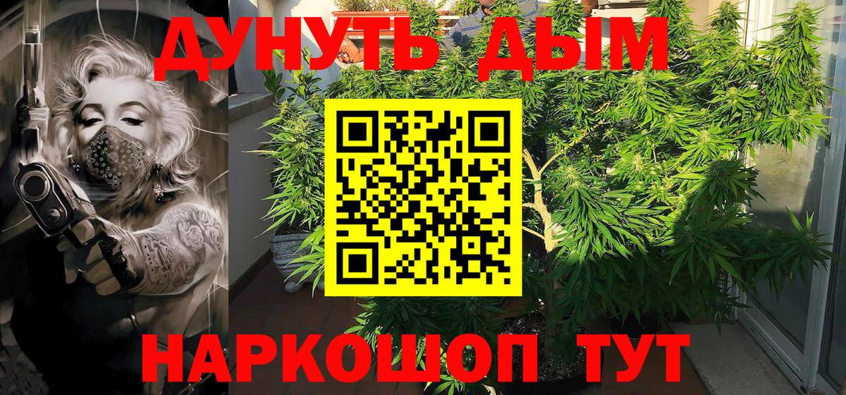 Шишки марихуана Bruce Banner Тутаев